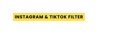 instagram tiktok filter